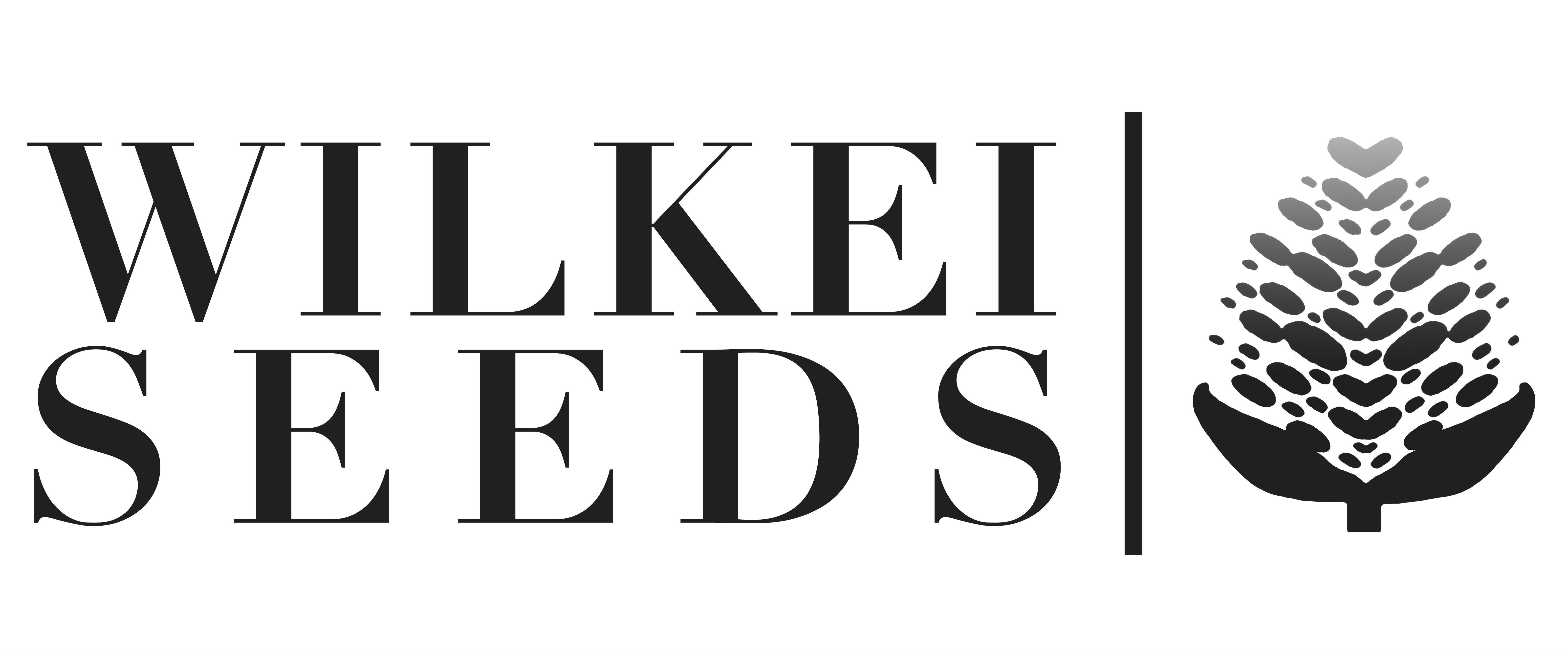 Wilkei Seeds